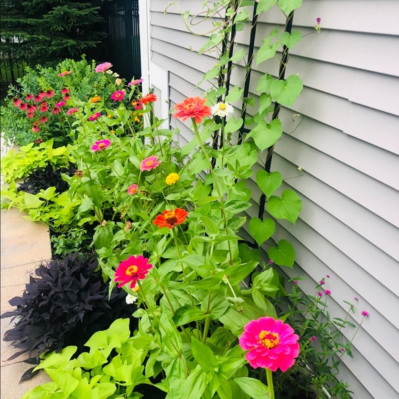 Meet your Posher, Lisa - Picture 2 of 7